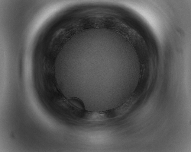 X0000116810239200912312002