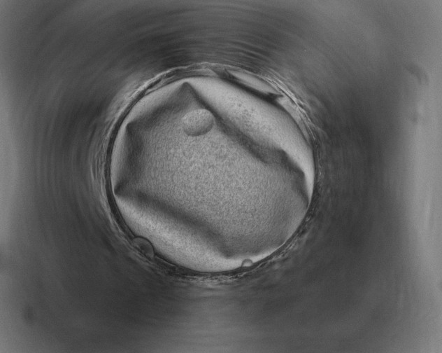 X0000116810241200912312001