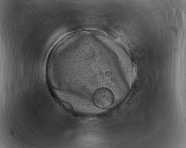 X0000116810243200912312001