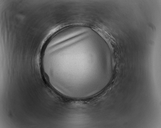 X0000116810244200912312001