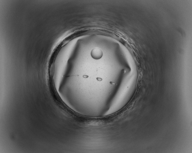 X0000116810248200912312001