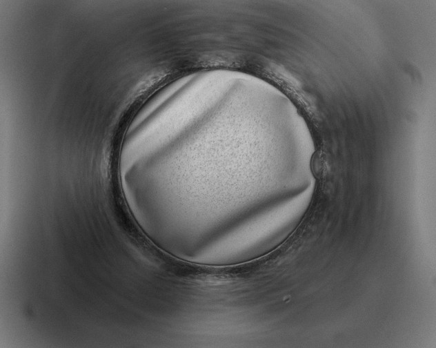 X0000116810250200912312001