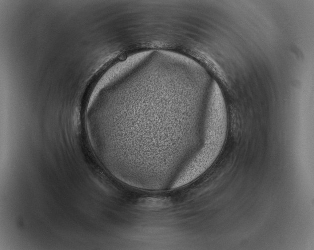 X0000116810251200912312001