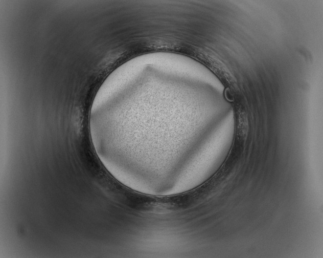 X0000116810255200912312001