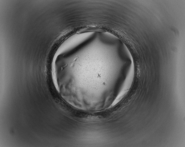 X0000116810256200912312001