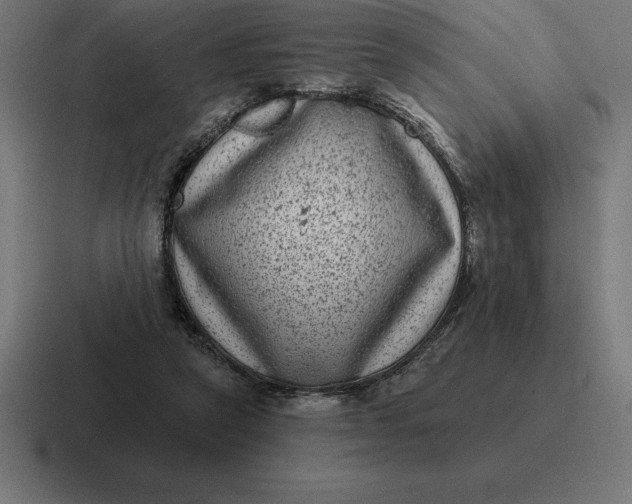 X0000116810257200912312001