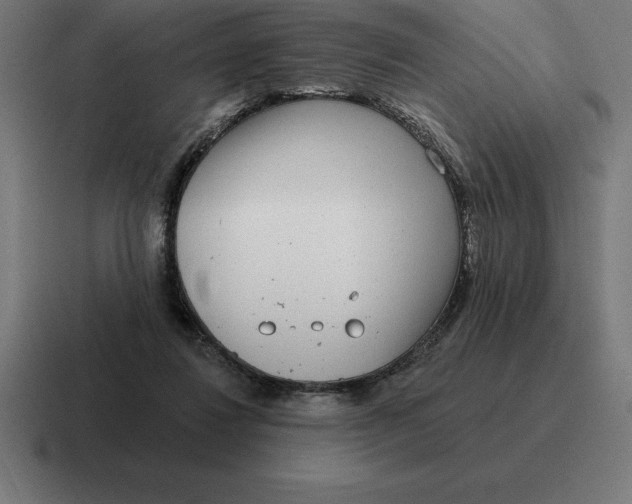 X0000116810260200912312001