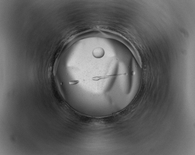 X0000116810263200912312001