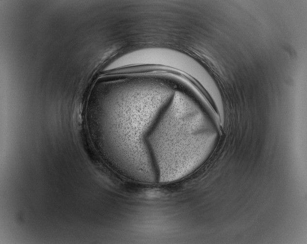 X0000116810264200912312001