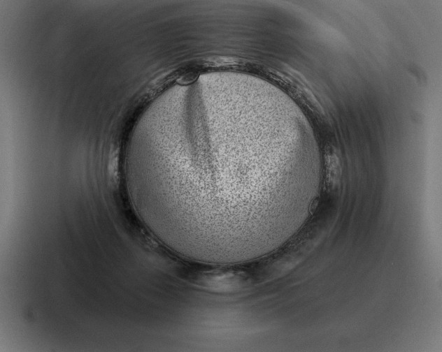 X0000116810267200912312001