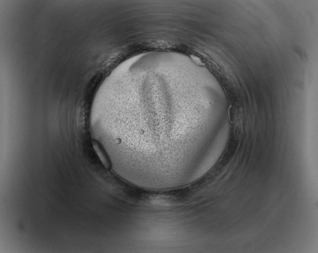 X0000116810268200912312001