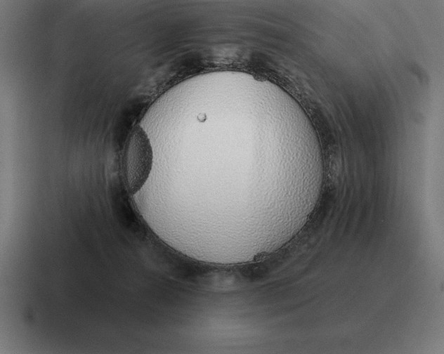 X0000116810272200912312001