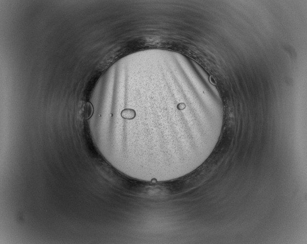 X0000116810275200912312001