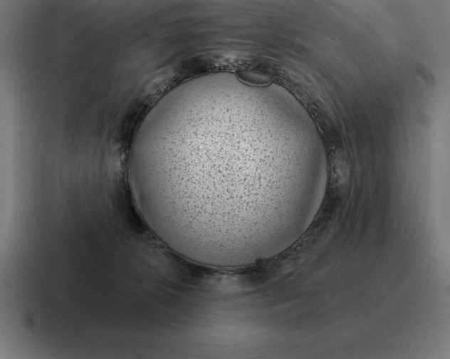 X0000116810276200912312001