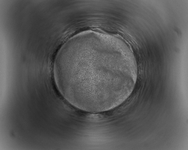 X0000116810277200912312001