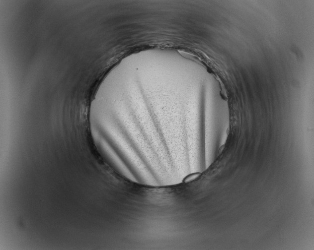 X0000116810281200912312002