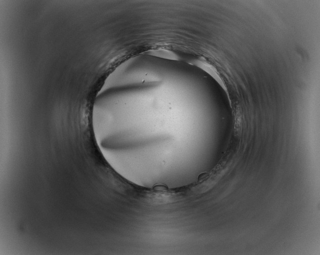 X0000116810282200912312002