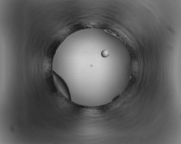 X0000116810284200912312002