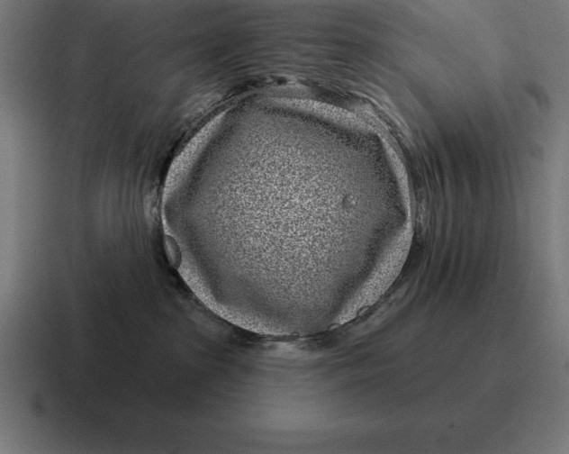 X0000116810285200912312002