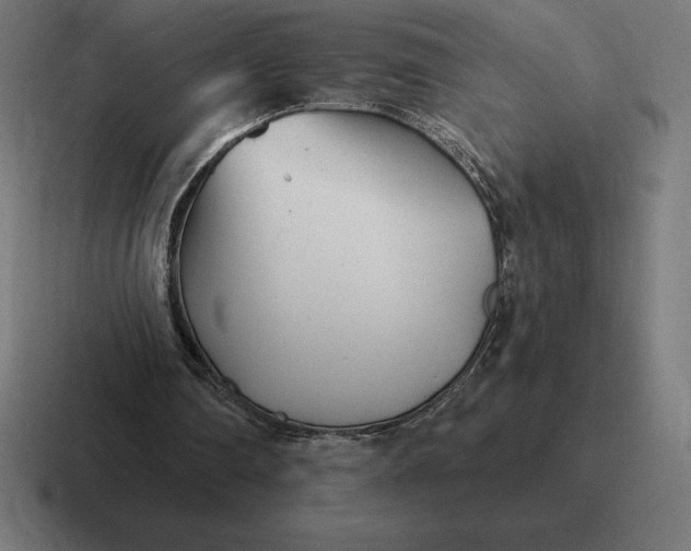 X0000116810290200912312001