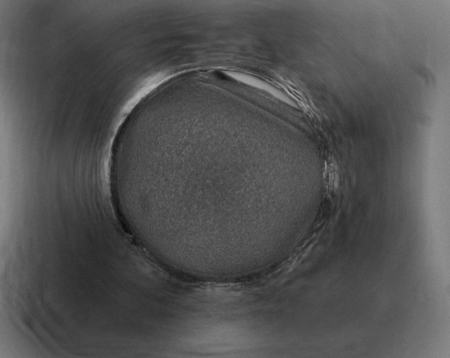 X0000116810292200912312001