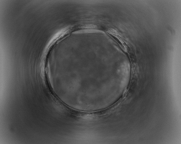 X0000116810293200912312001