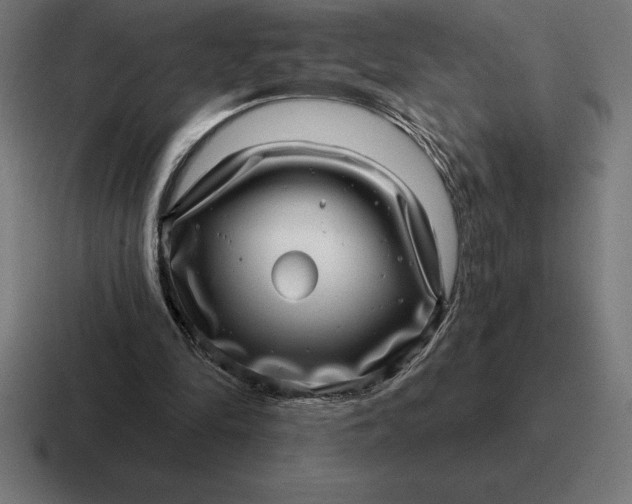 X0000116810294200912312001