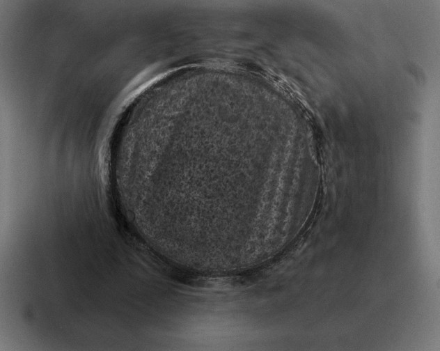 X0000116810295200912312001