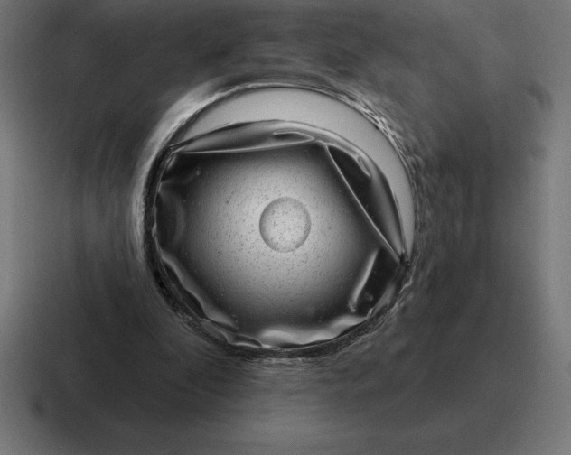 X0000116810296200912312001