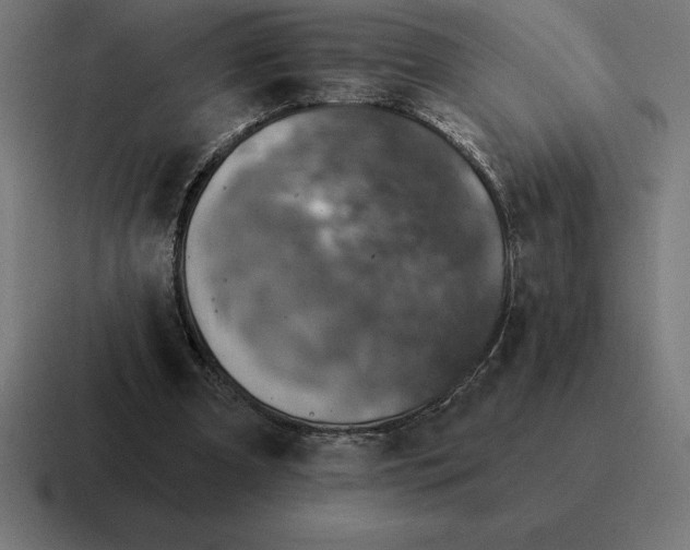 X0000116810297200912312001