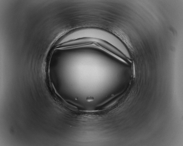 X0000116810300200912312001