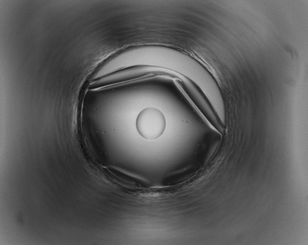 X0000116810301200912312001