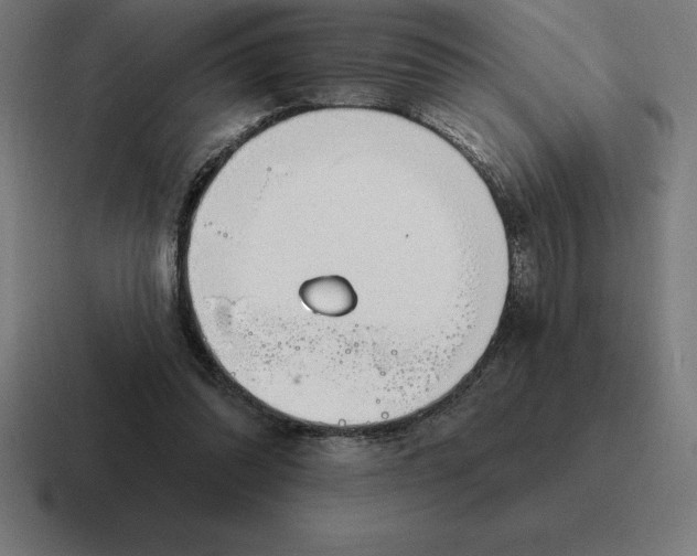 X0000116810302200912312001