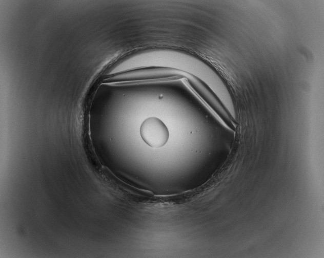 X0000116810304200912312001