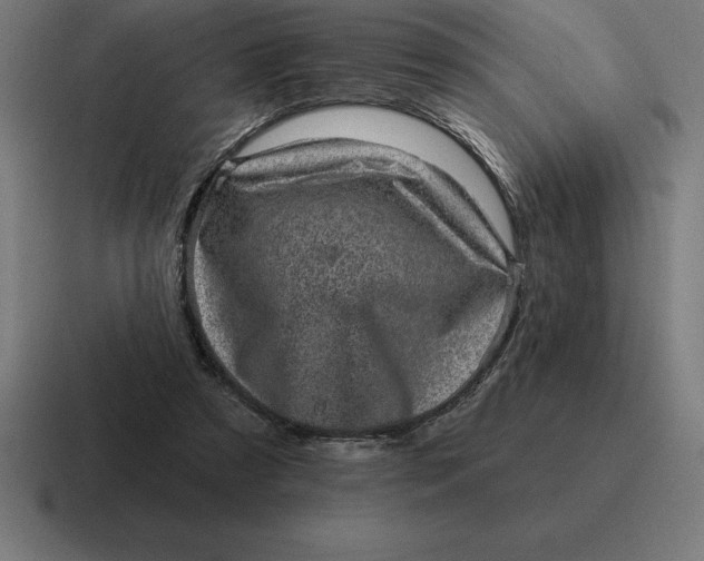 X0000116810305200912312001