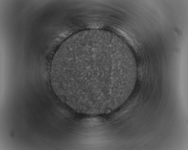 X0000116810307200912312001