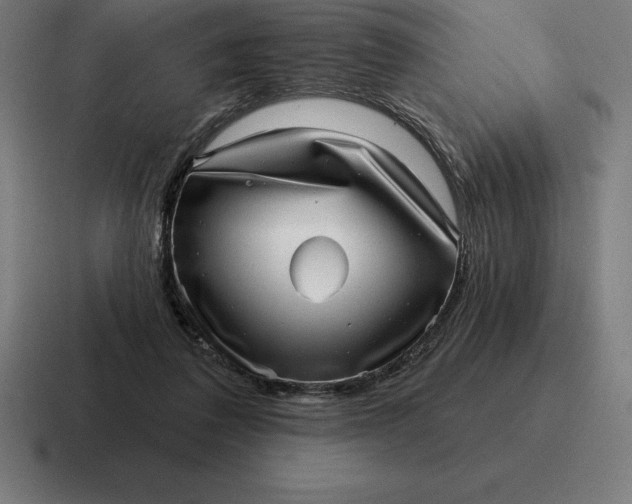 X0000116810308200912312001