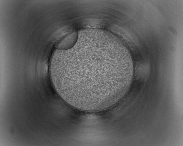 X0000116810310200912312001