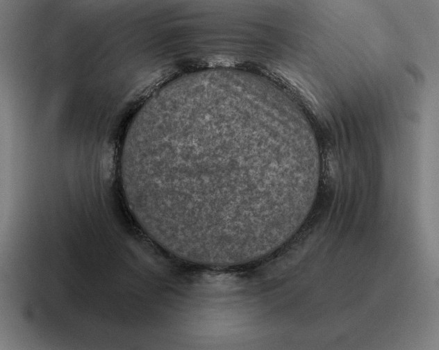 X0000116810311200912312001