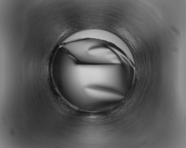 X0000116810312200912312001