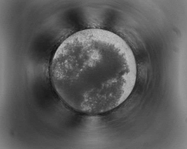 X0000116810313200912312001