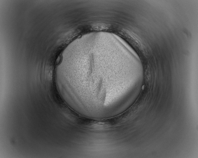 X0000116810315200912312001