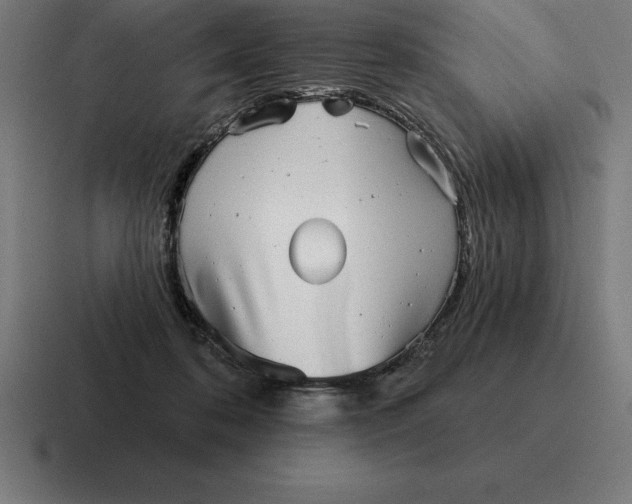 X0000116810316200912312001