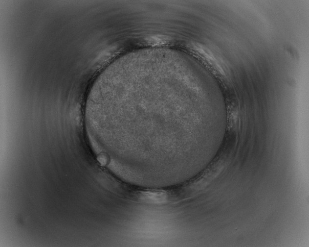 X0000116810317200912312001