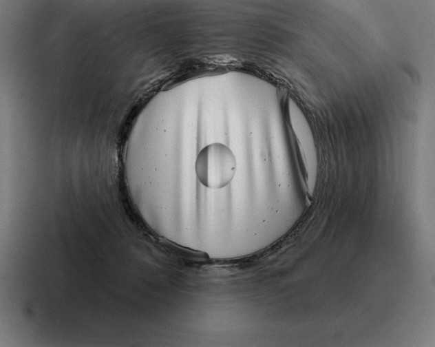 X0000116810320200912312001