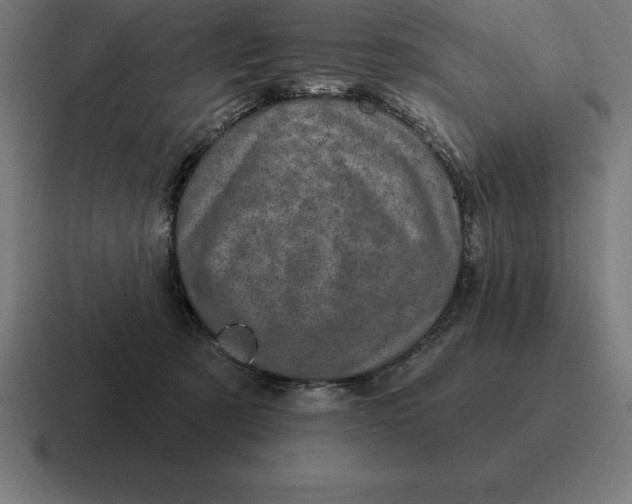 X0000116810321200912312001