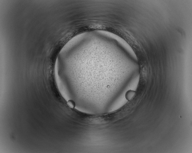 X0000116810322200912312001