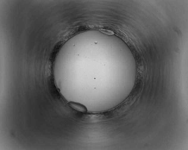 X0000116810323200912312001