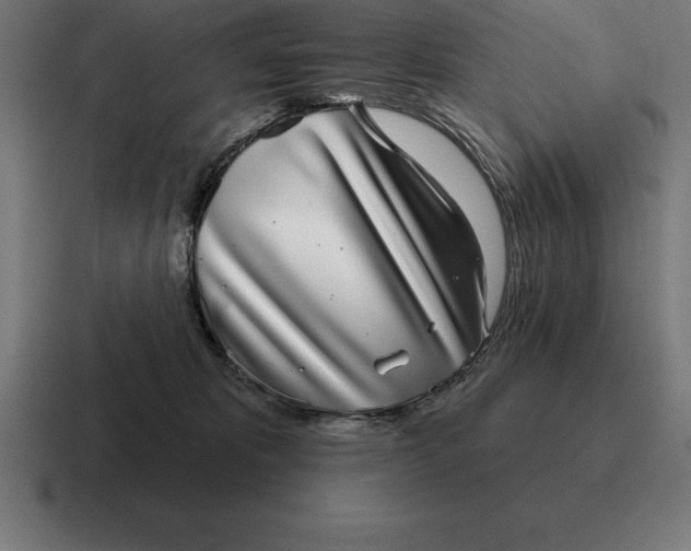 X0000116810325200912312001