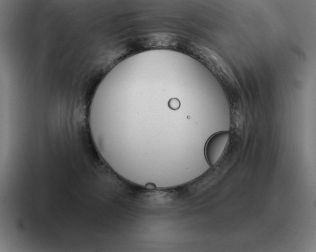 X0000116810326200912312001